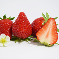 サマーリリカル