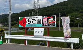 いちご園看板